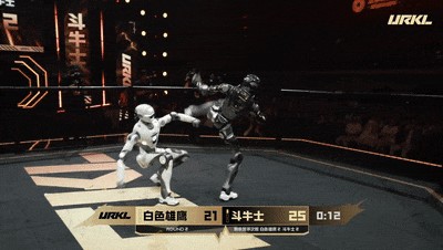 URKL格斗赛对战画面